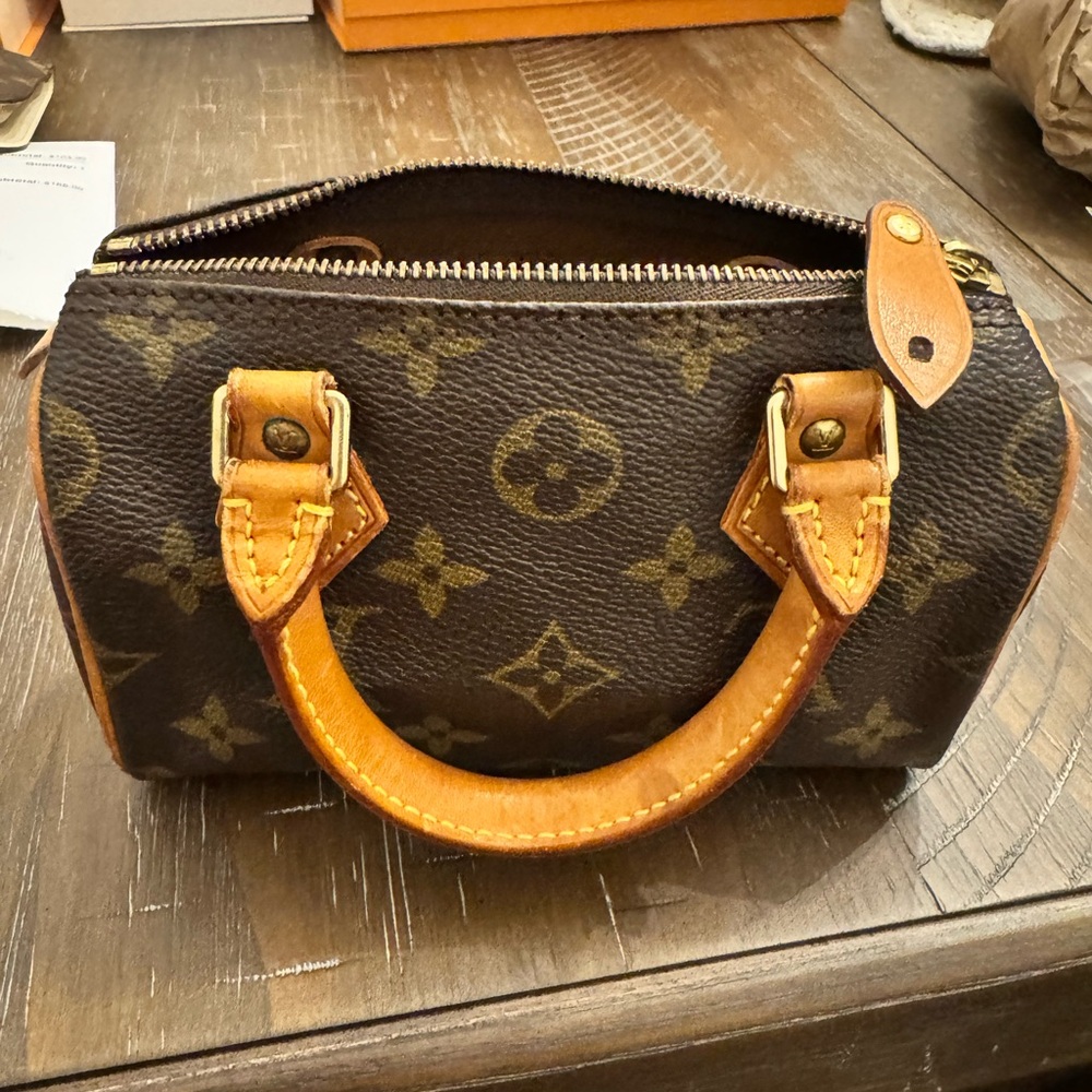 Louis Vuitton Monogram Mini Handbag